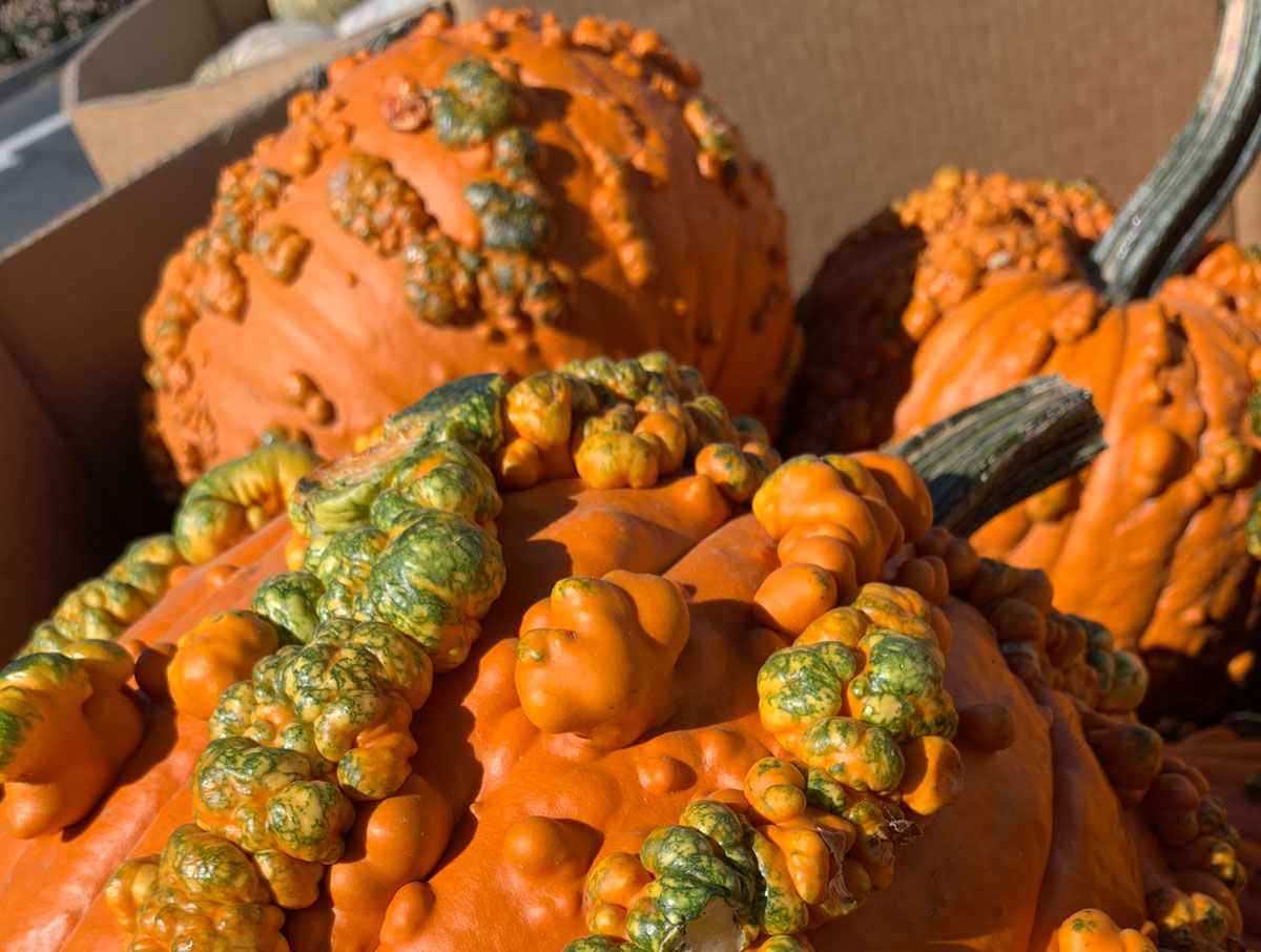 About Pedric Produce